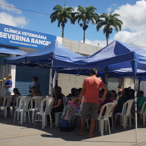 Castração em Agrestina